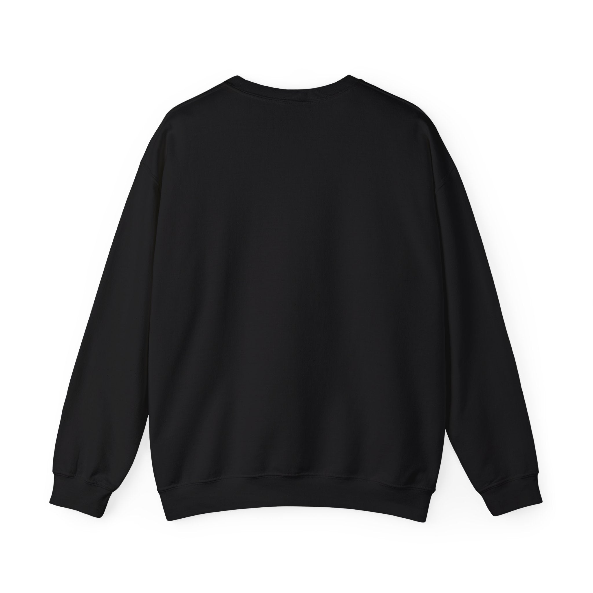 Blocked Crewneck Sweatshirt | Streetwear Hoodie